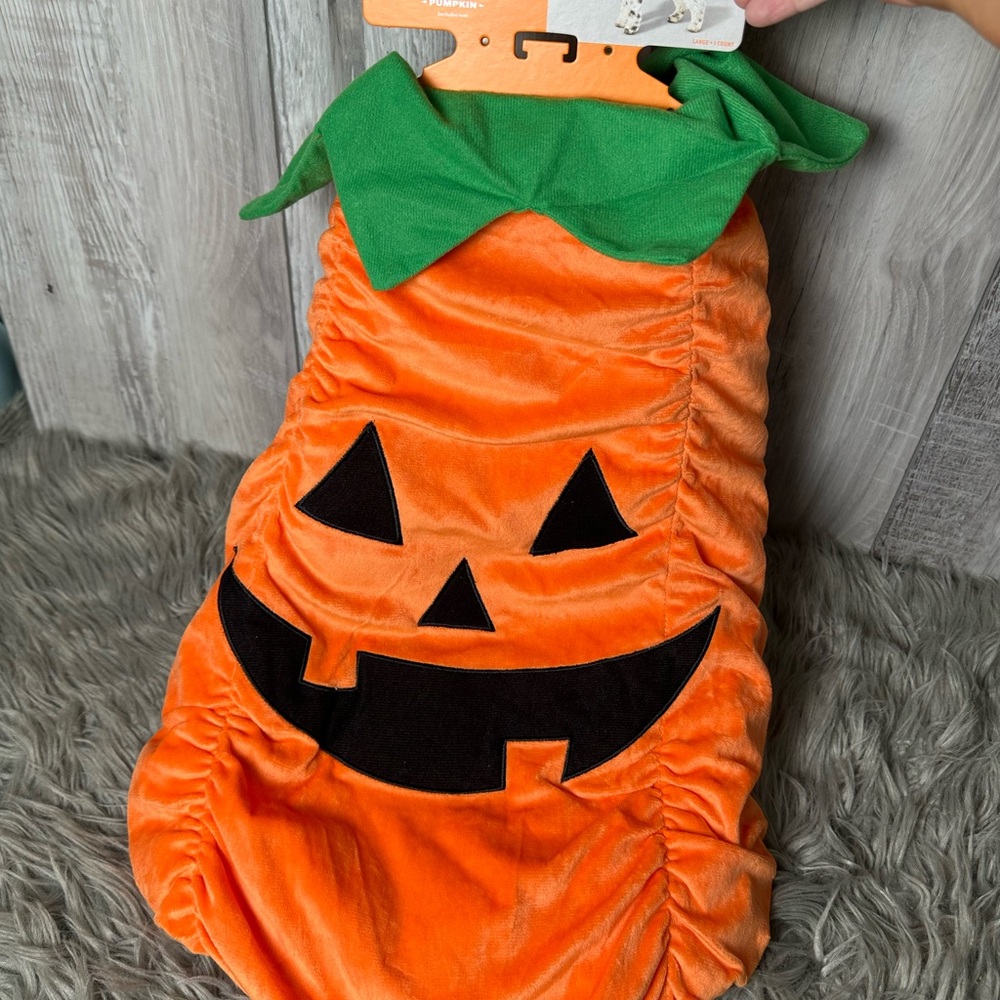 Warm Pet Pumpkin Costume